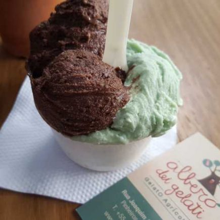 O delicioso gelato de Cioccolato & zenzero e Spirulina com infusão de flores!