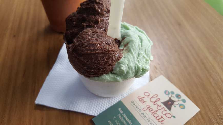 O delicioso gelato de Cioccolato & zenzero e Spirulina com infusão de flores!