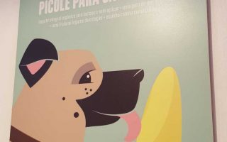 Peppino: o picolé para cachorro da gelateria Le Botteghe di Leonardo