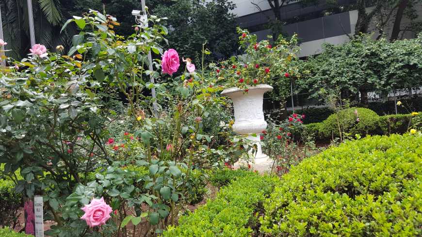 Tranquilidade no jardim da Casa das Rosas