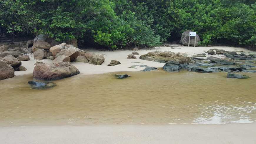 Após o córrego está o início da trilha para a Praia da Caixa d'Aço