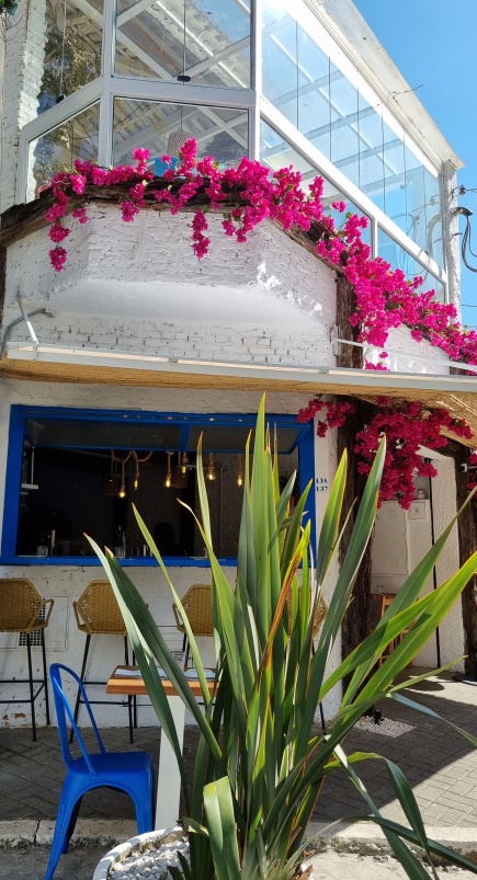 Petros Greek Taverna, o novo cantinho grego de Pinheiros!